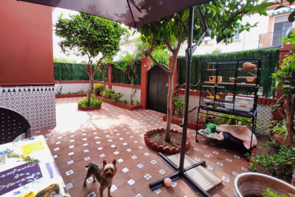 Villa Patricia Málaga - Terraza exterior